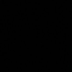 Meet your Posher, Rav